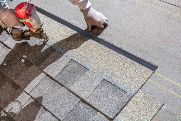 Best Roof Insulation Installation  in Cheree, OK